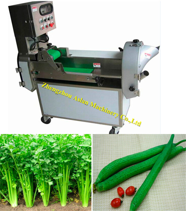 automatic vegetable cutting machine