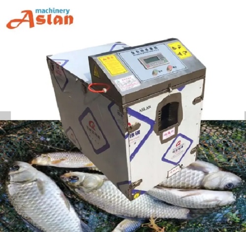 automatic fish killing machine